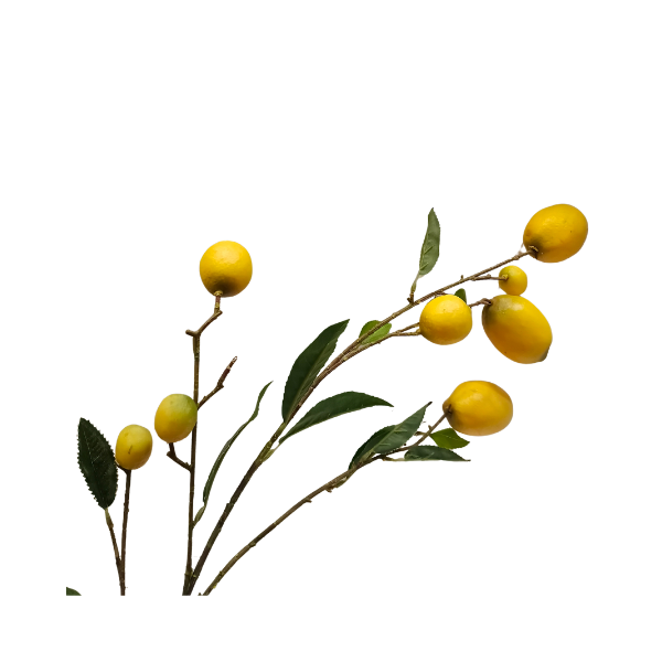 Savanna