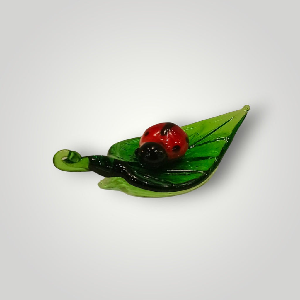 Yolly Lady Bug