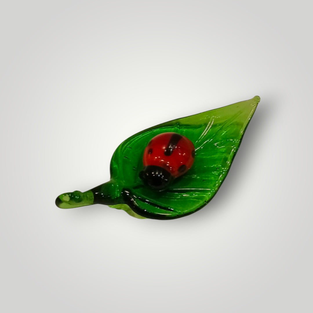Yolly Lady Bug