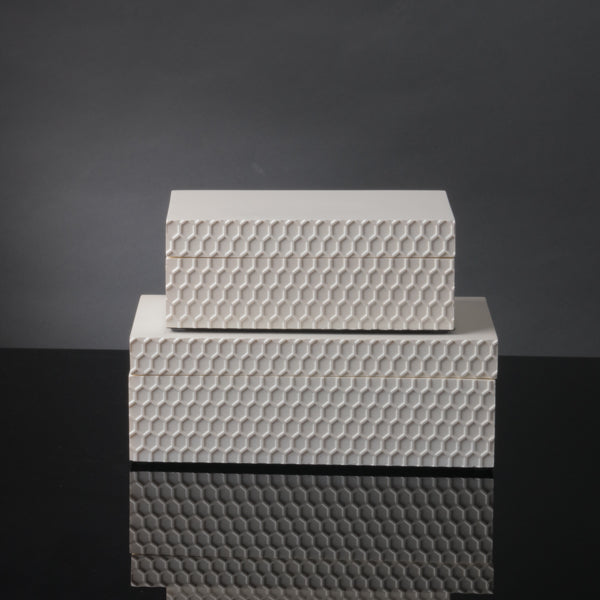 Filbert Moyen Creme