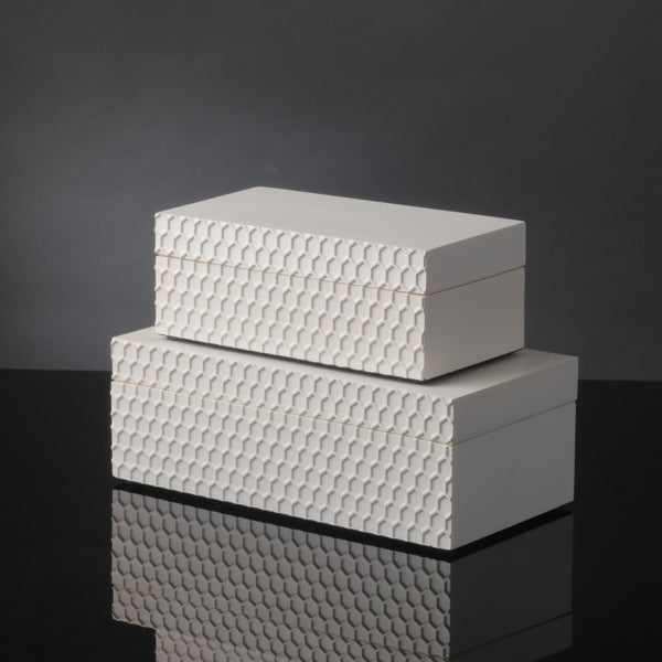 Filbert Moyen Creme