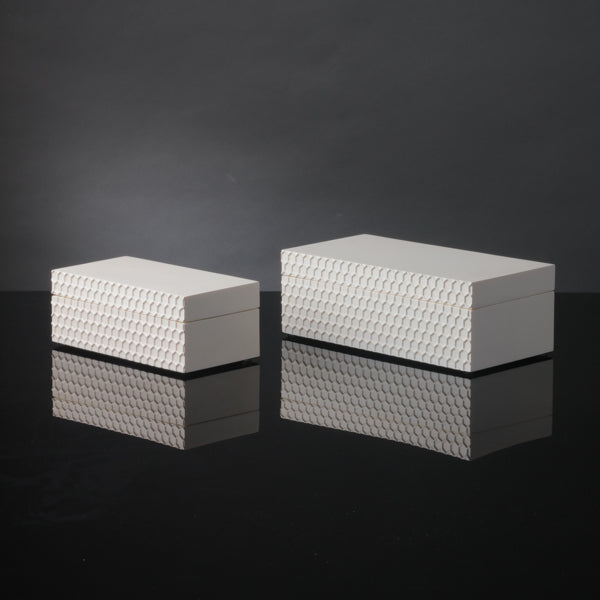 Filbert Moyen Creme