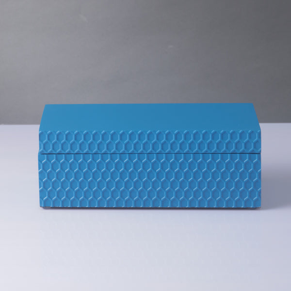 Filbert Moyen Bleue