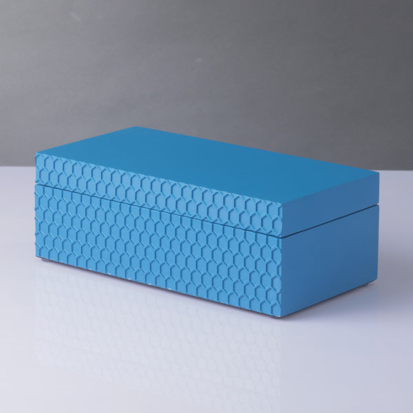 Filbert Moyen Bleue