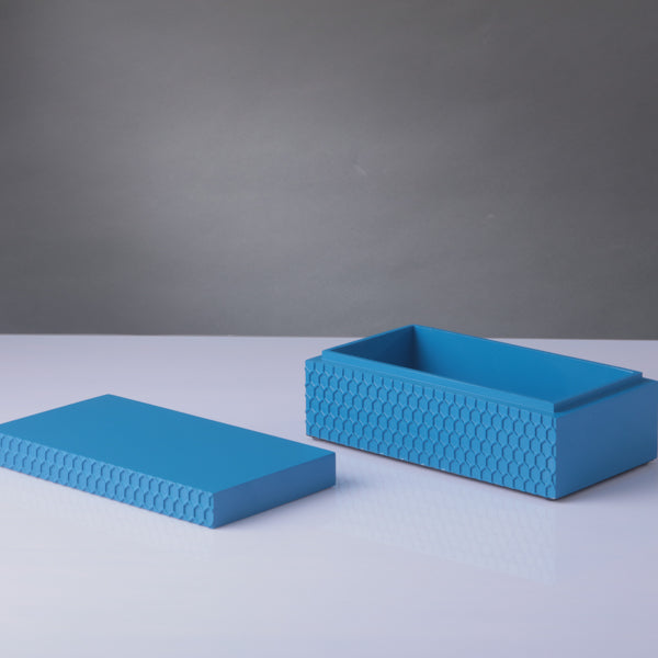 Filbert Moyen Bleue